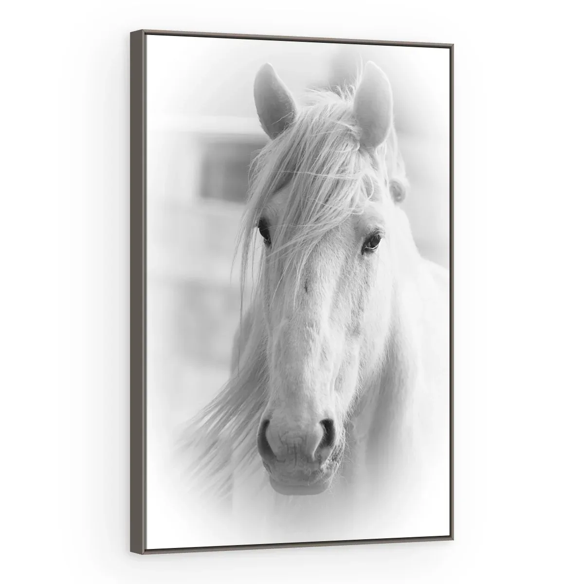 Quadro Decorativo Canvas Cavalo Etéreo - CA0010