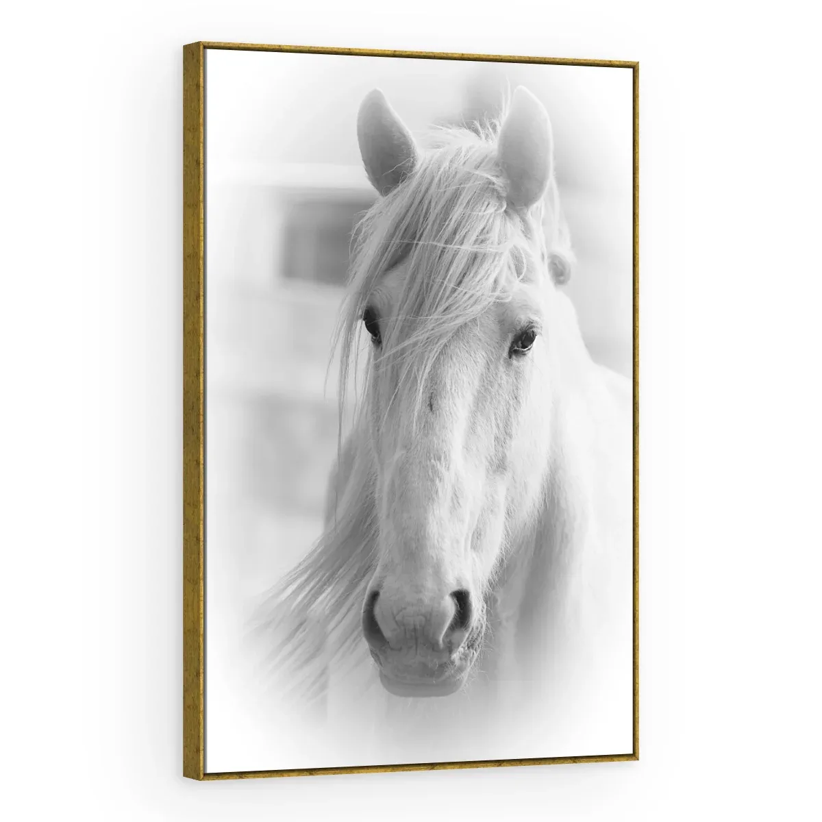 Quadro Decorativo Canvas Cavalo Etéreo - CA0010