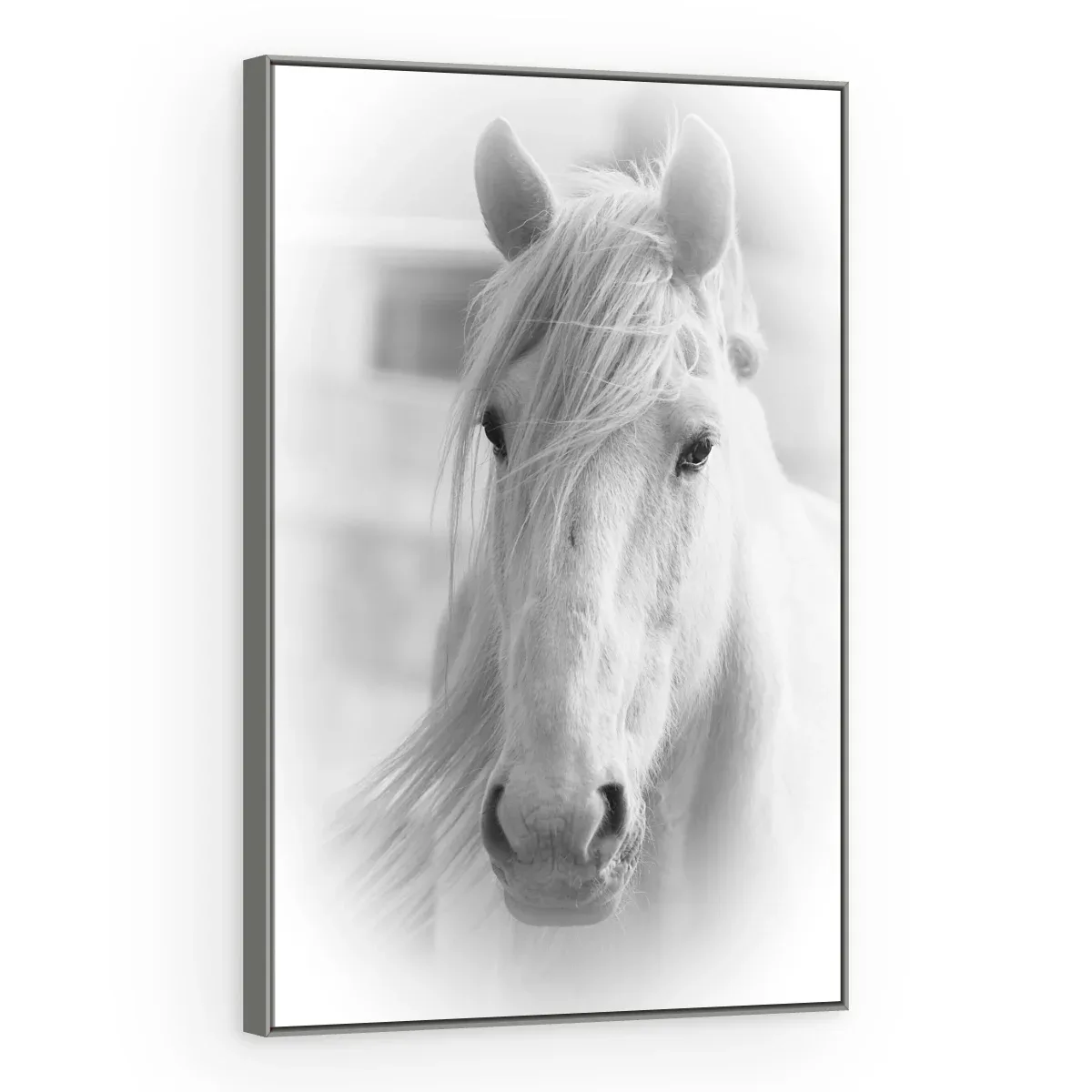 Quadro Decorativo Canvas Cavalo Etéreo - CA0010
