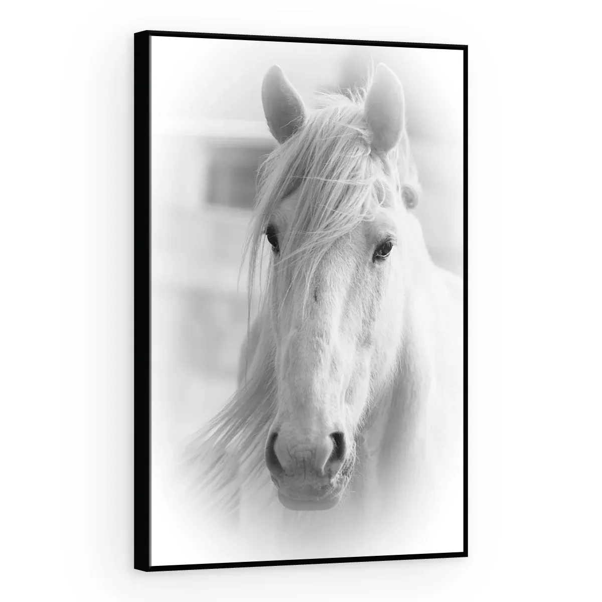 Quadro Decorativo Canvas Cavalo Etéreo - CA0010
