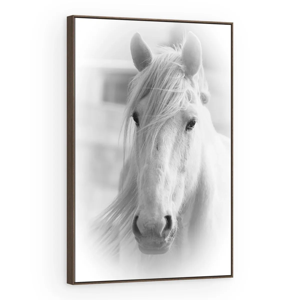 Quadro Decorativo Canvas Cavalo Etéreo - CA0010