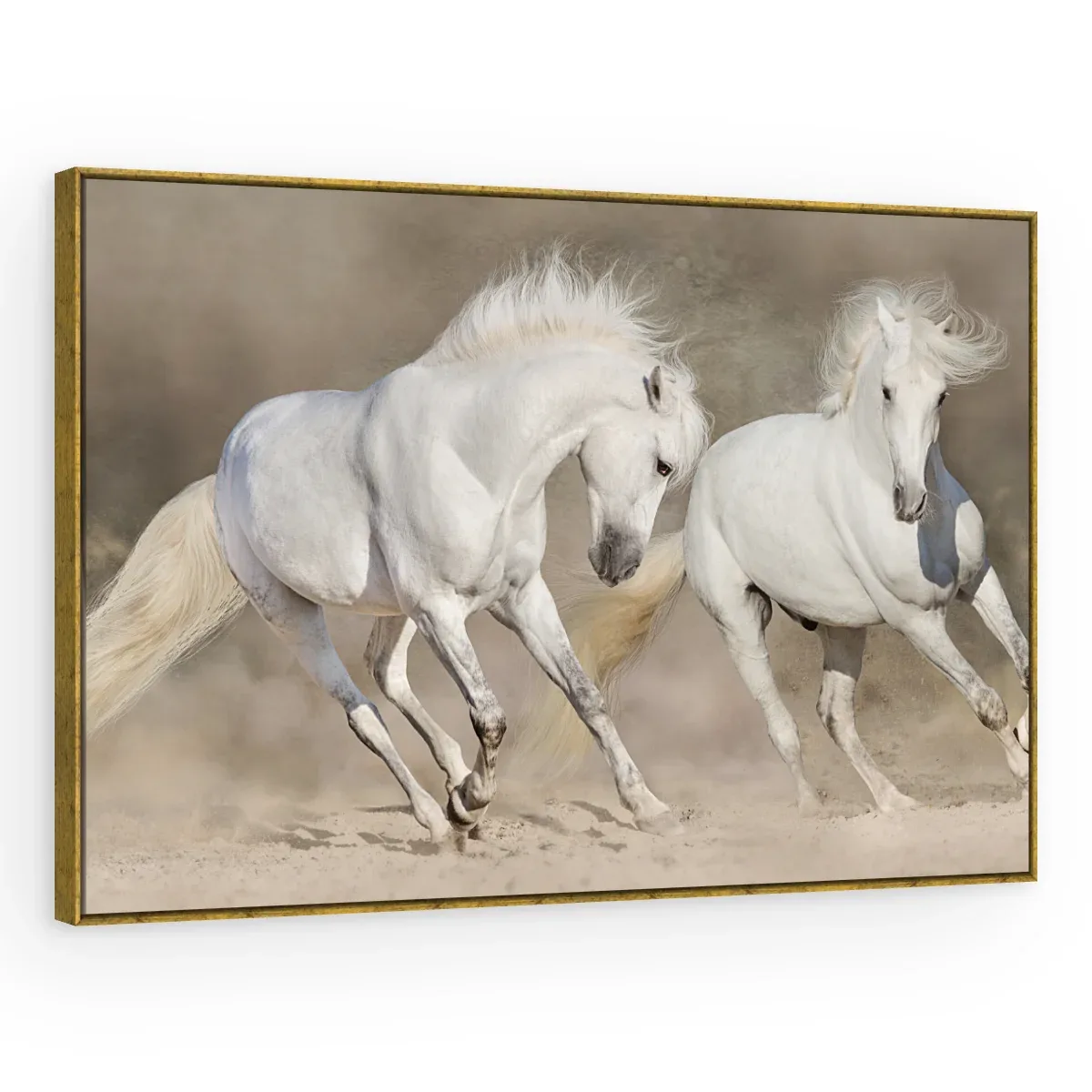 Quadro Decorativo Canvas Cavalos Brancos - CA0012