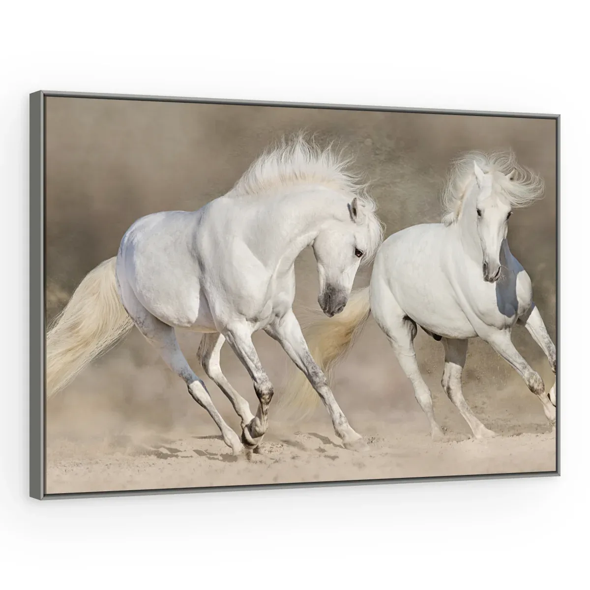 Quadro Decorativo Canvas Cavalos Brancos - CA0012