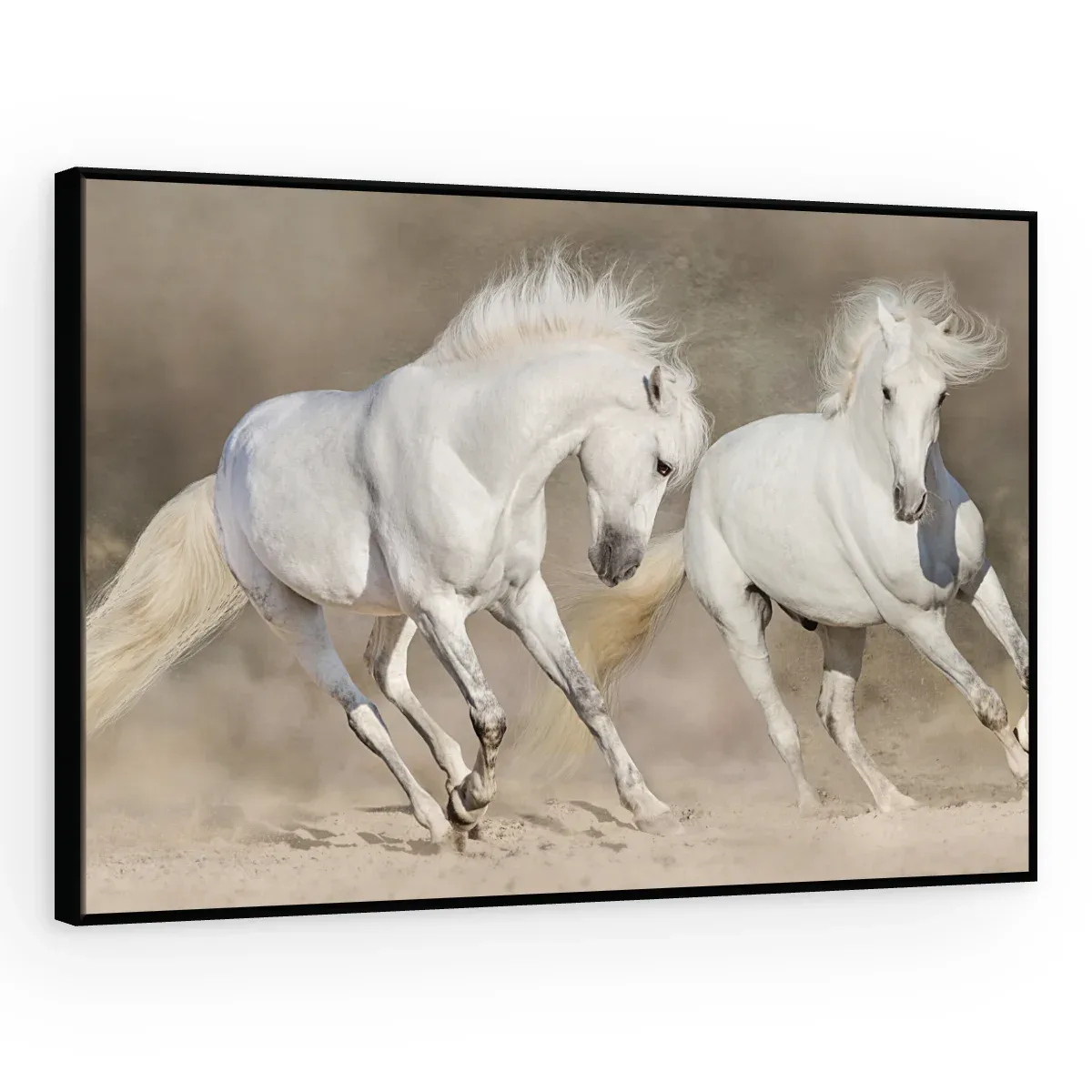 Quadro Decorativo Canvas Cavalos Brancos - CA0012