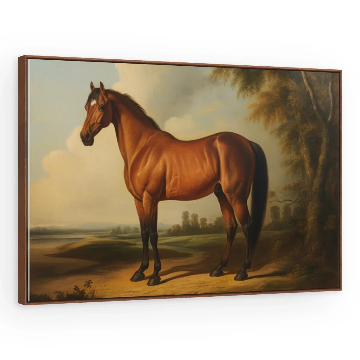 Quadro Decorativo Canvas Cavalo Clássico - CA0013