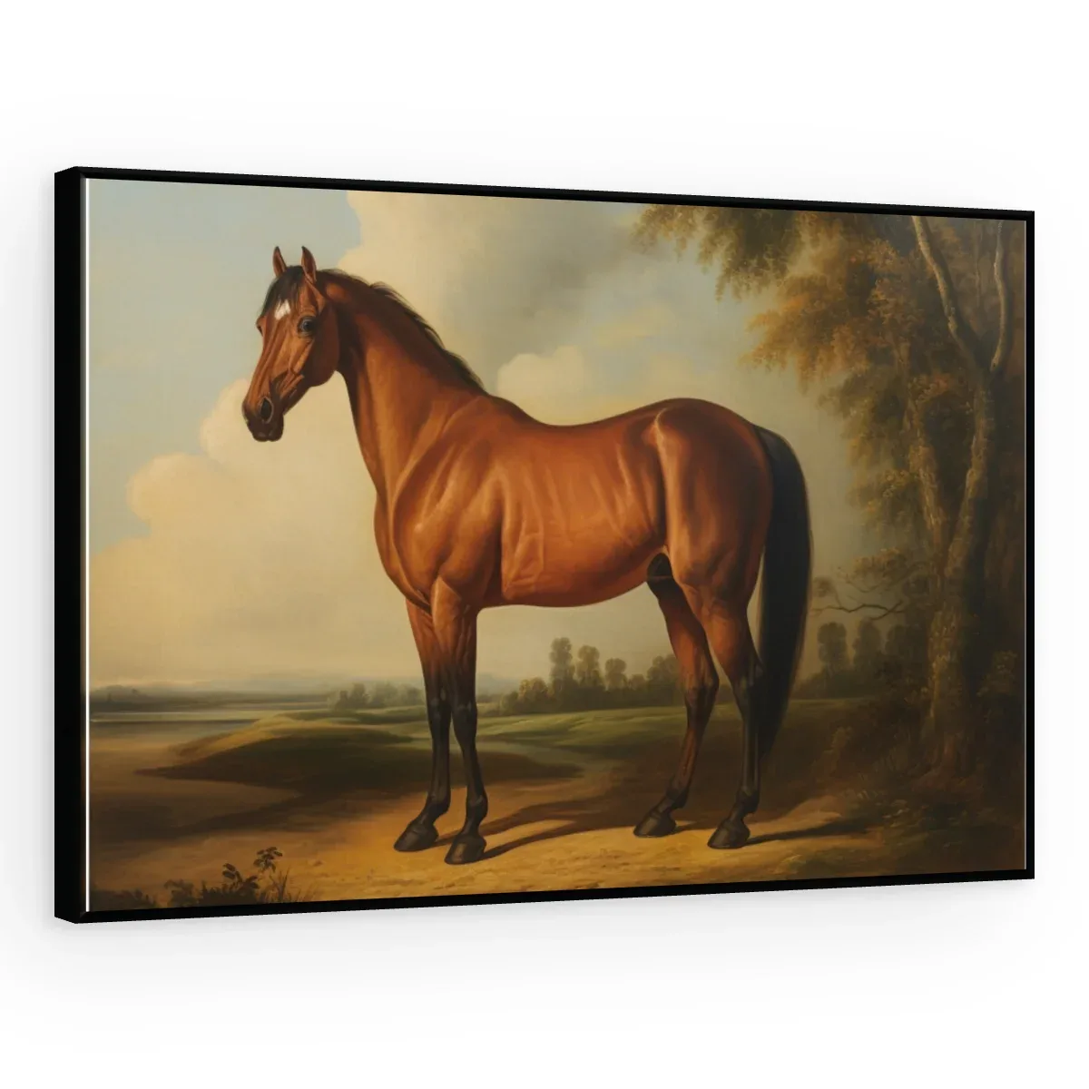 Quadro Decorativo Canvas Cavalo Clássico - CA0013