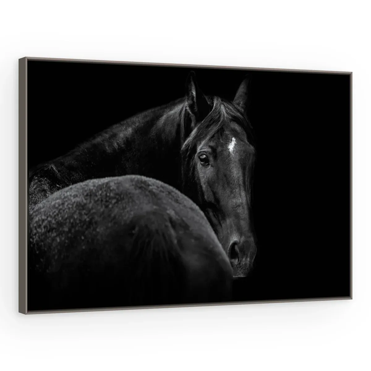 Quadro Decorativo Canvas Cavalo Negro - CA0014