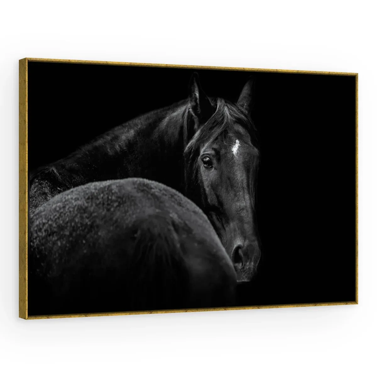 Quadro Decorativo Canvas Cavalo Negro - CA0014