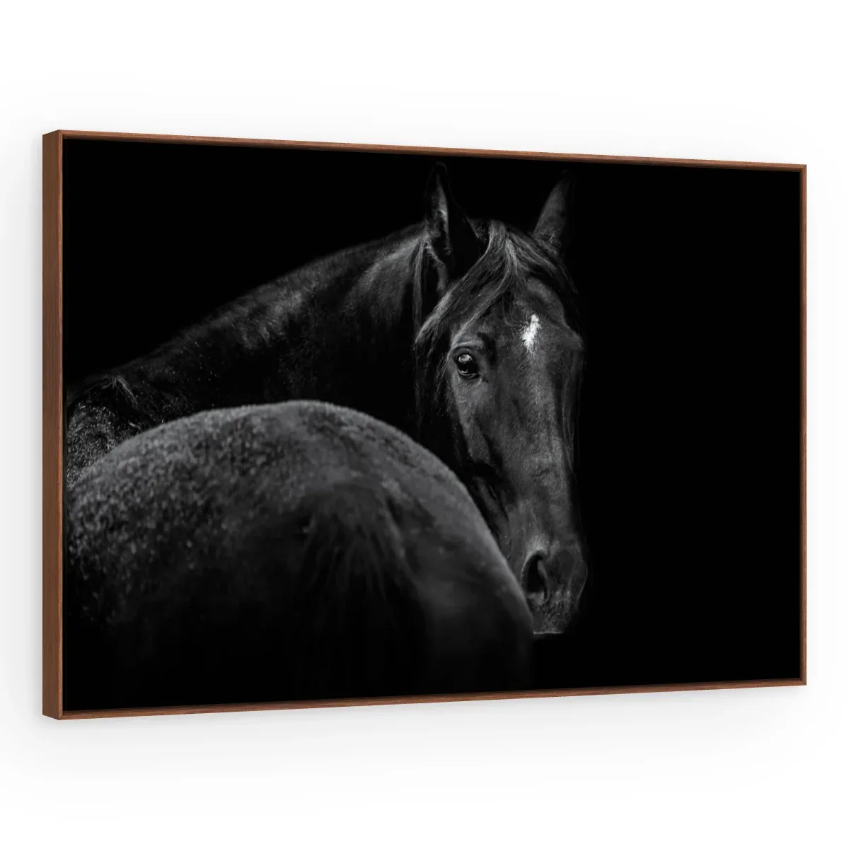 Quadro Decorativo Canvas Cavalo Negro - CA0014