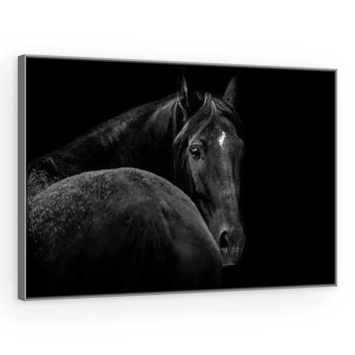 Quadro Decorativo Canvas Cavalo Negro - CA0014