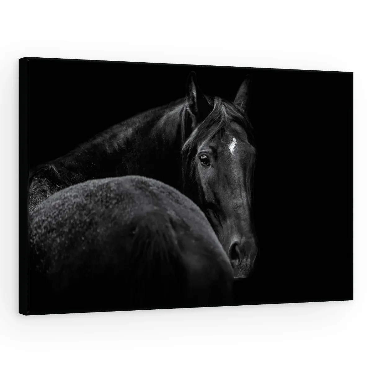 Quadro Decorativo Canvas Cavalo Negro - CA0014