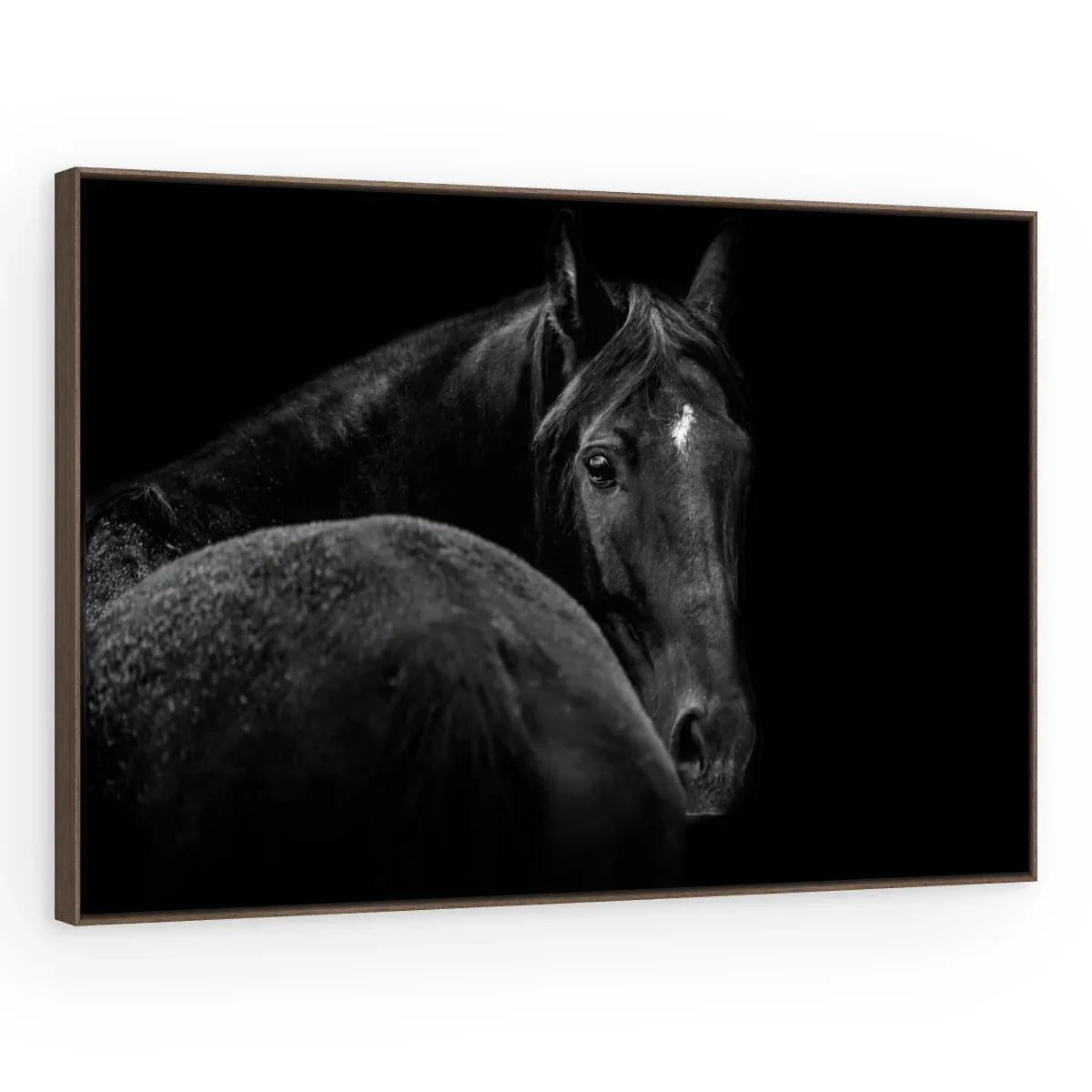 Quadro Decorativo Canvas Cavalo Negro - CA0014