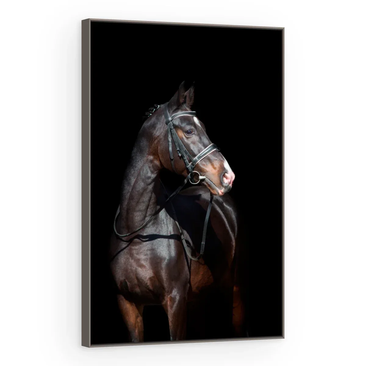 Quadro Decorativo Canvas Cavalo Imponente - CA0015