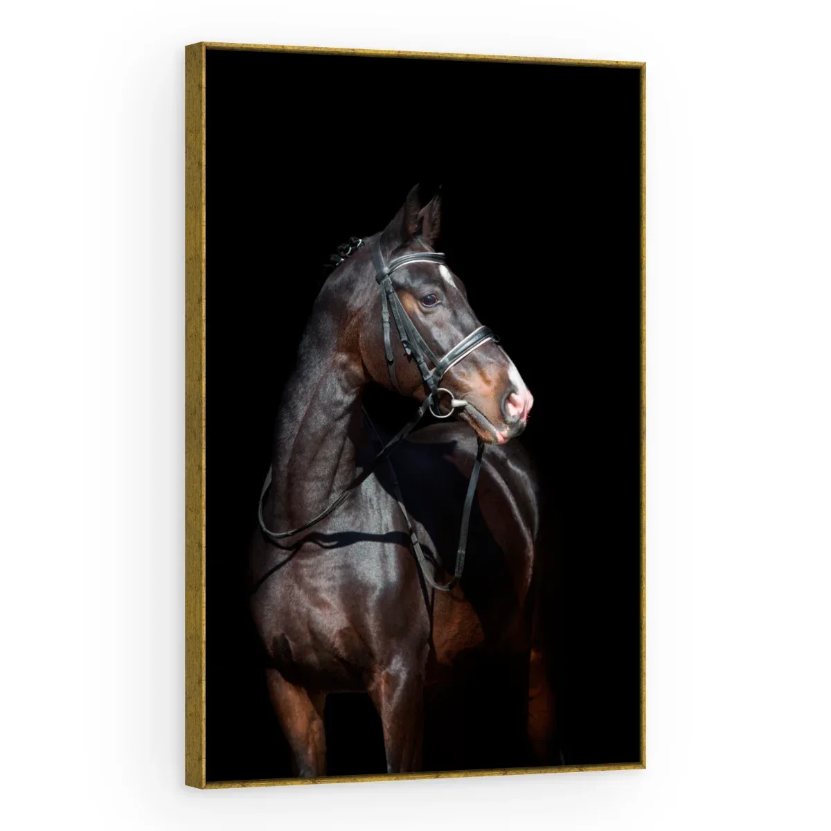 Quadro Decorativo Canvas Cavalo Imponente - CA0015