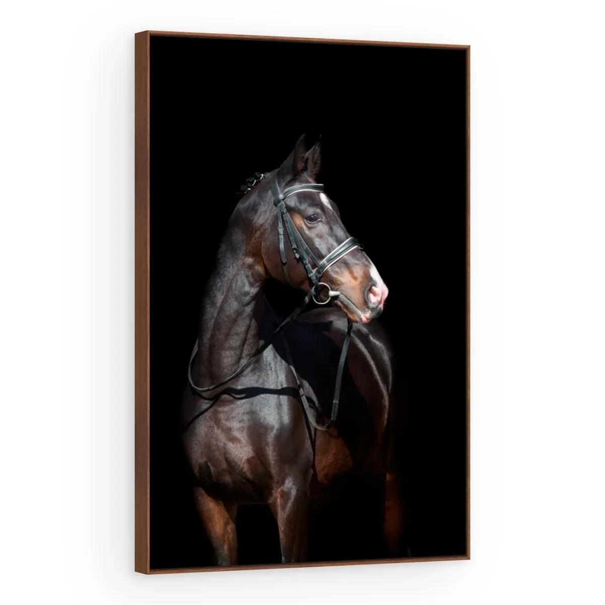 Quadro Decorativo Canvas Cavalo Imponente - CA0015