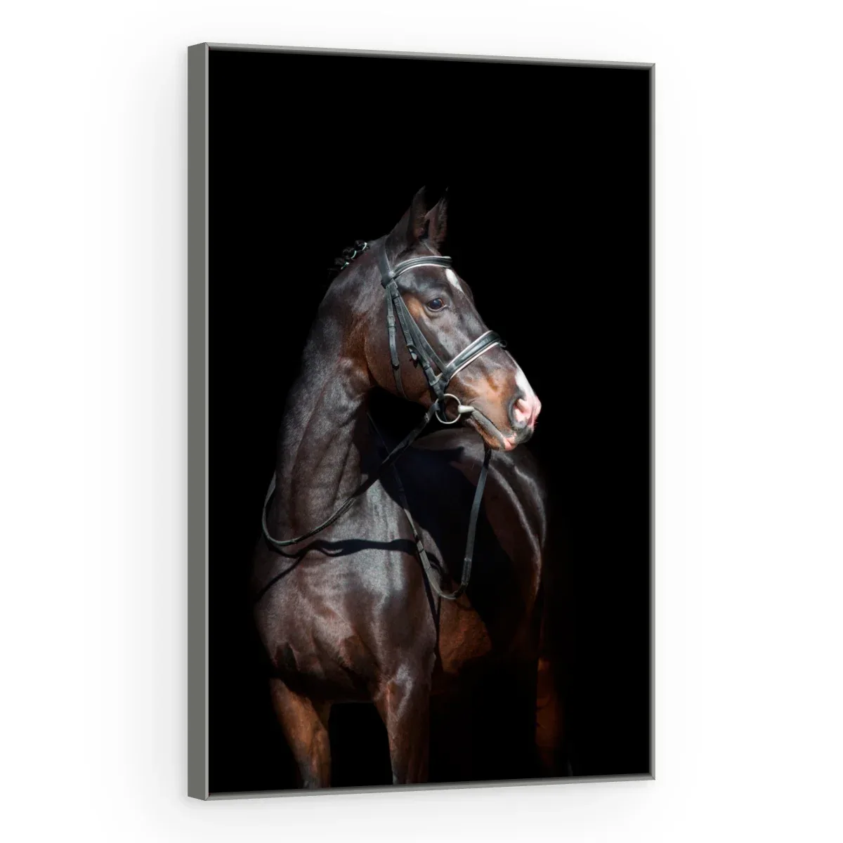 Quadro Decorativo Canvas Cavalo Imponente - CA0015