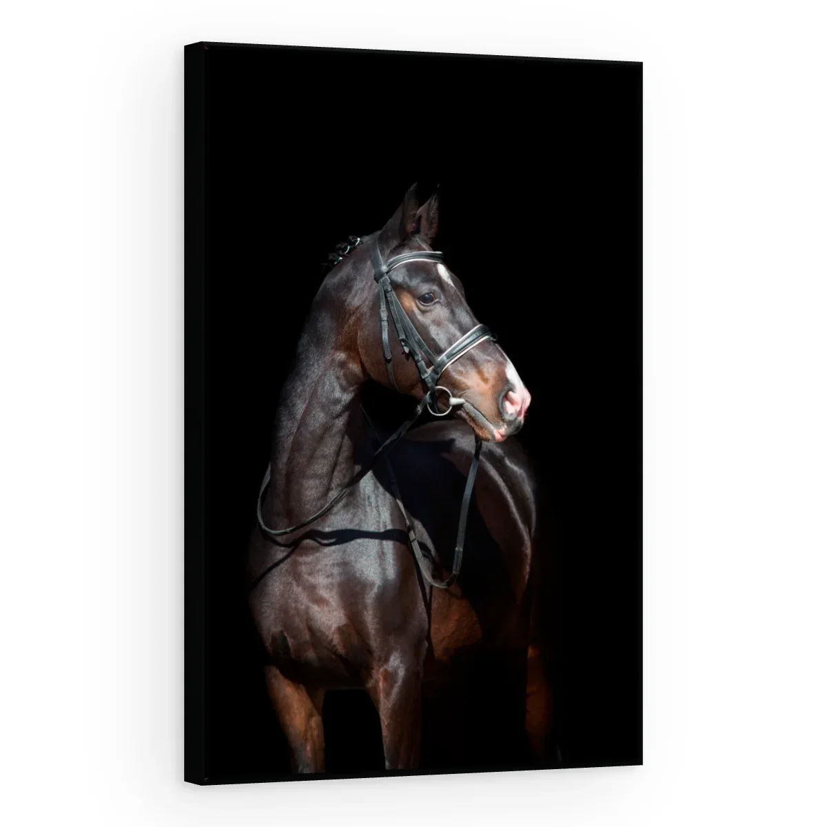 Quadro Decorativo Canvas Cavalo Imponente - CA0015