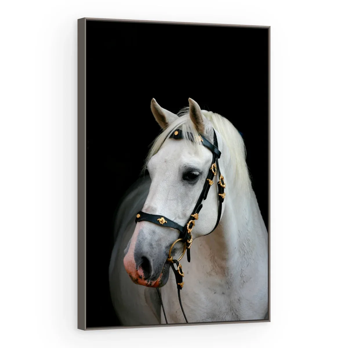 Quadro Decorativo Canvas Cavalo Andaluz - CA0016