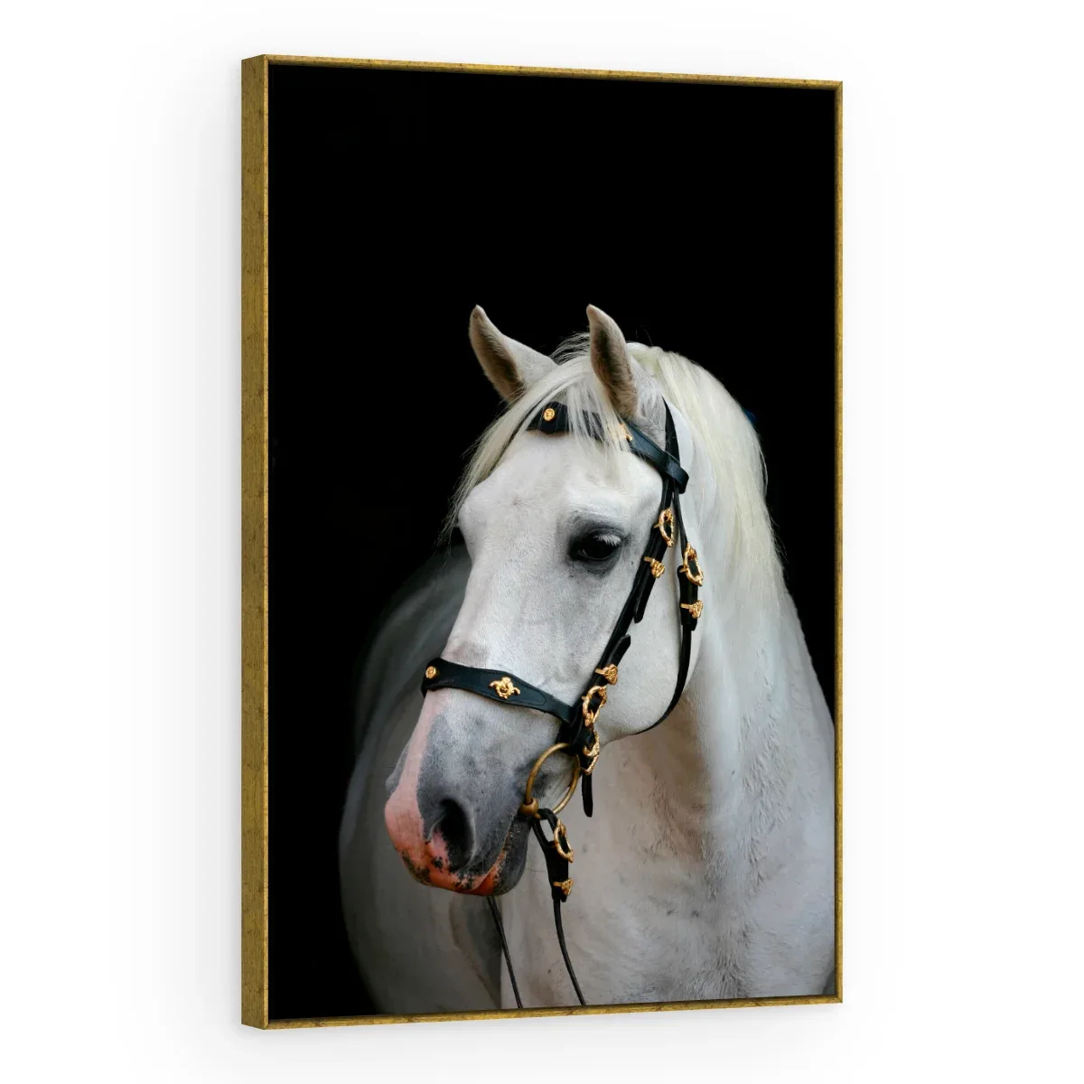 Quadro Decorativo Canvas Cavalo Andaluz - CA0016