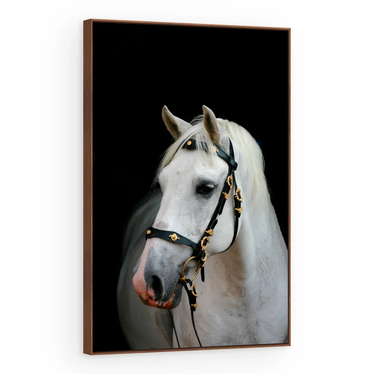 Quadro Decorativo Canvas Cavalo Andaluz - CA0016