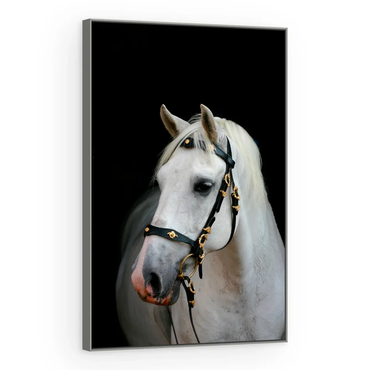 Quadro Decorativo Canvas Cavalo Andaluz - CA0016