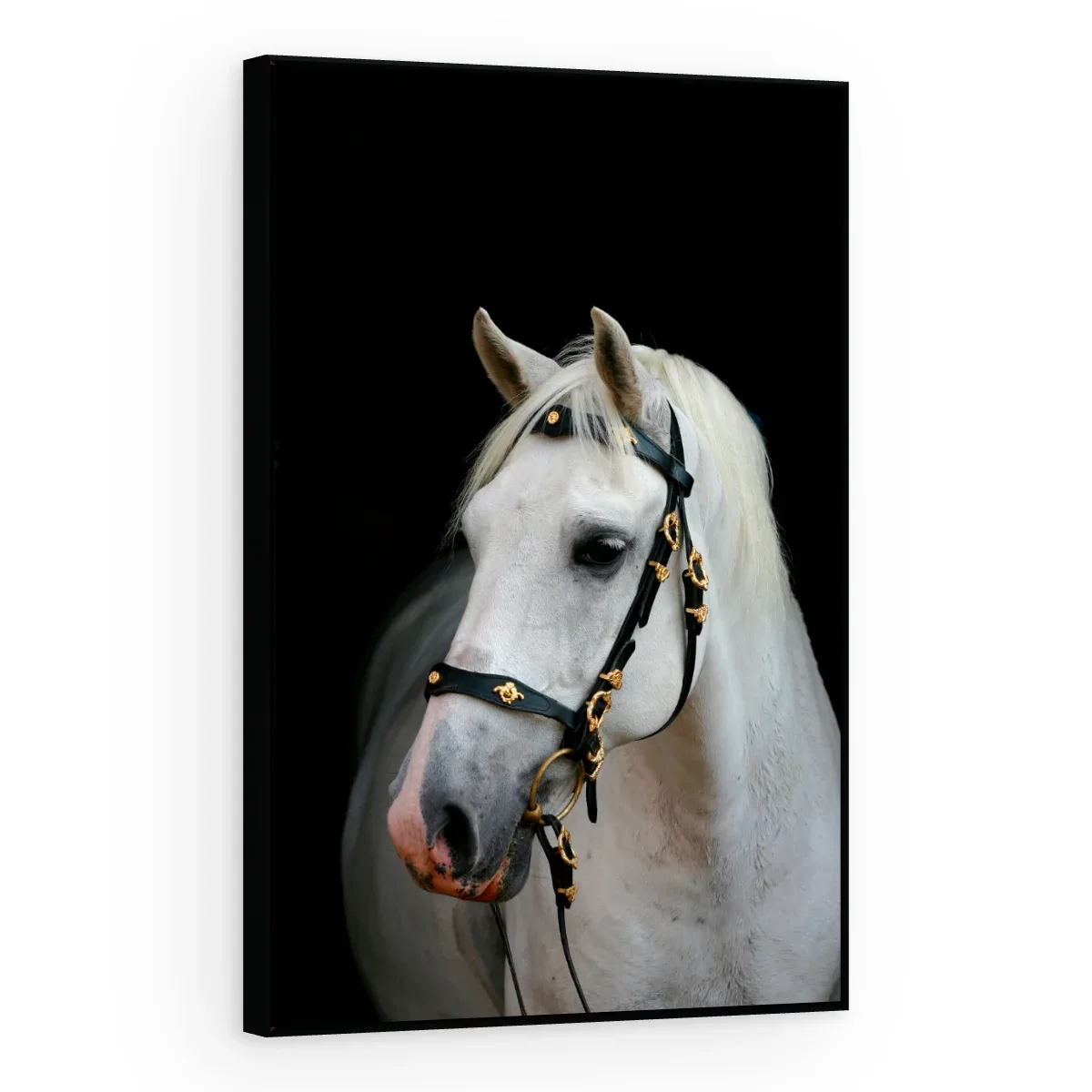 Quadro Decorativo Canvas Cavalo Andaluz - CA0016