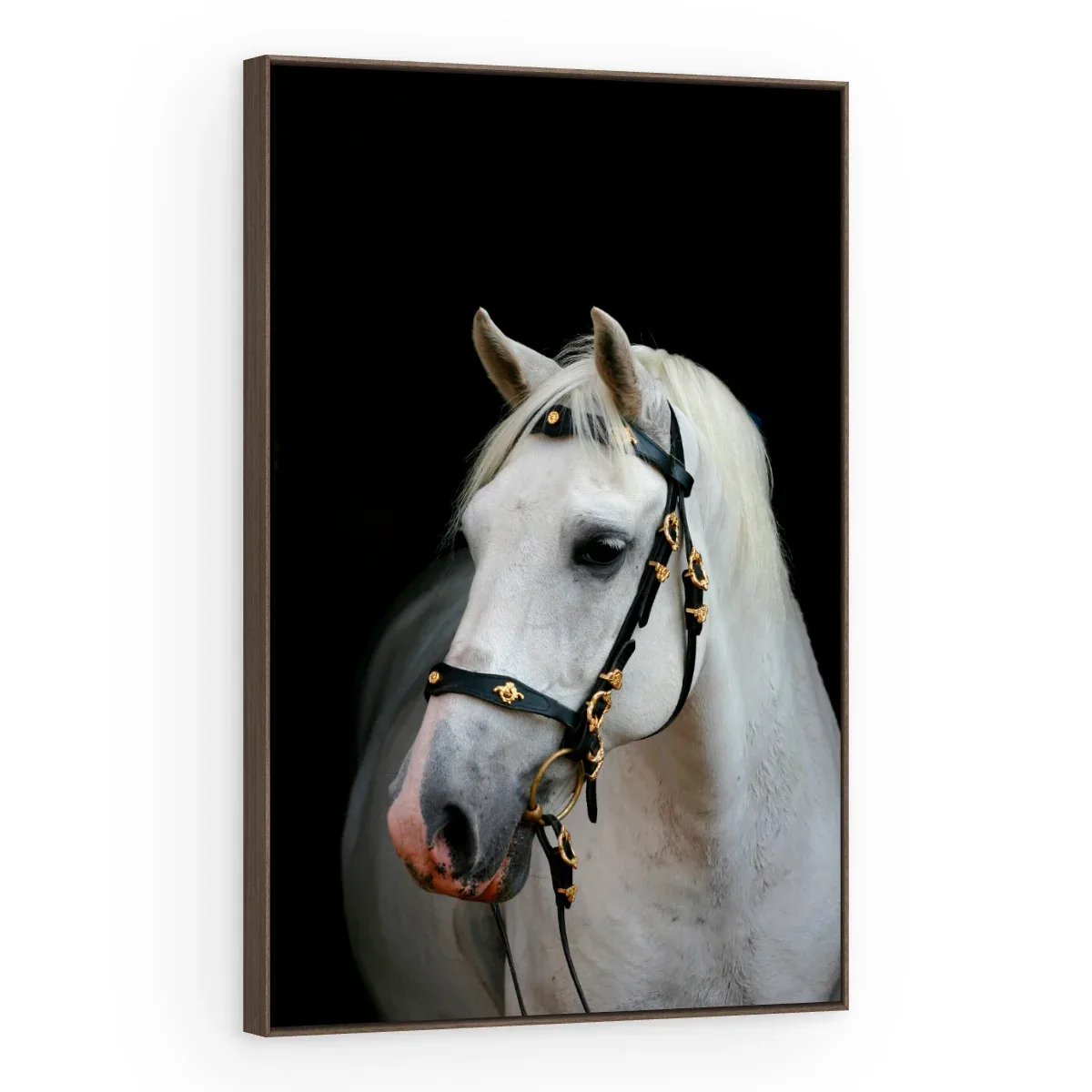 Quadro Decorativo Canvas Cavalo Andaluz - CA0016