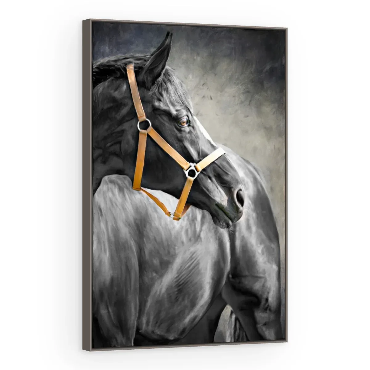 Quadro Decorativo Canvas Cavalo Cabresto - CA0019