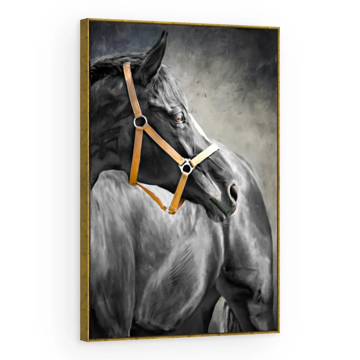 Quadro Decorativo Canvas Cavalo Cabresto - CA0019