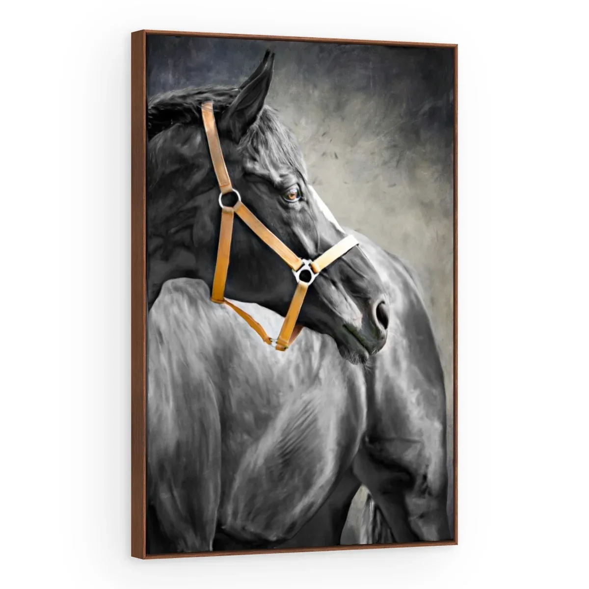Quadro Decorativo Canvas Cavalo Cabresto - CA0019
