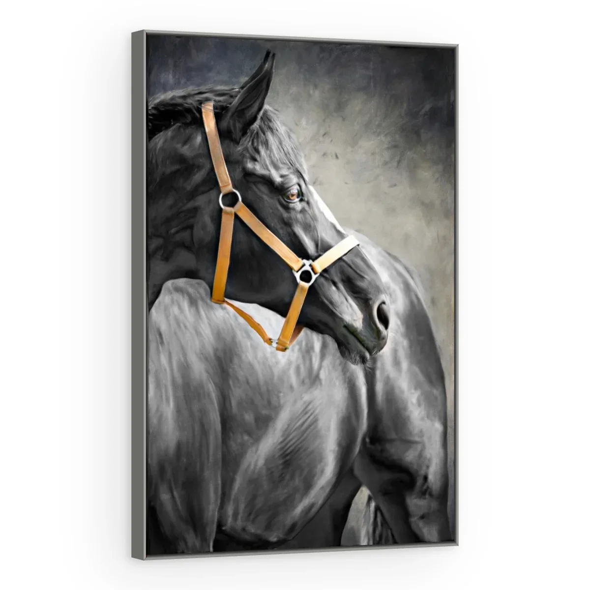 Quadro Decorativo Canvas Cavalo Cabresto - CA0019