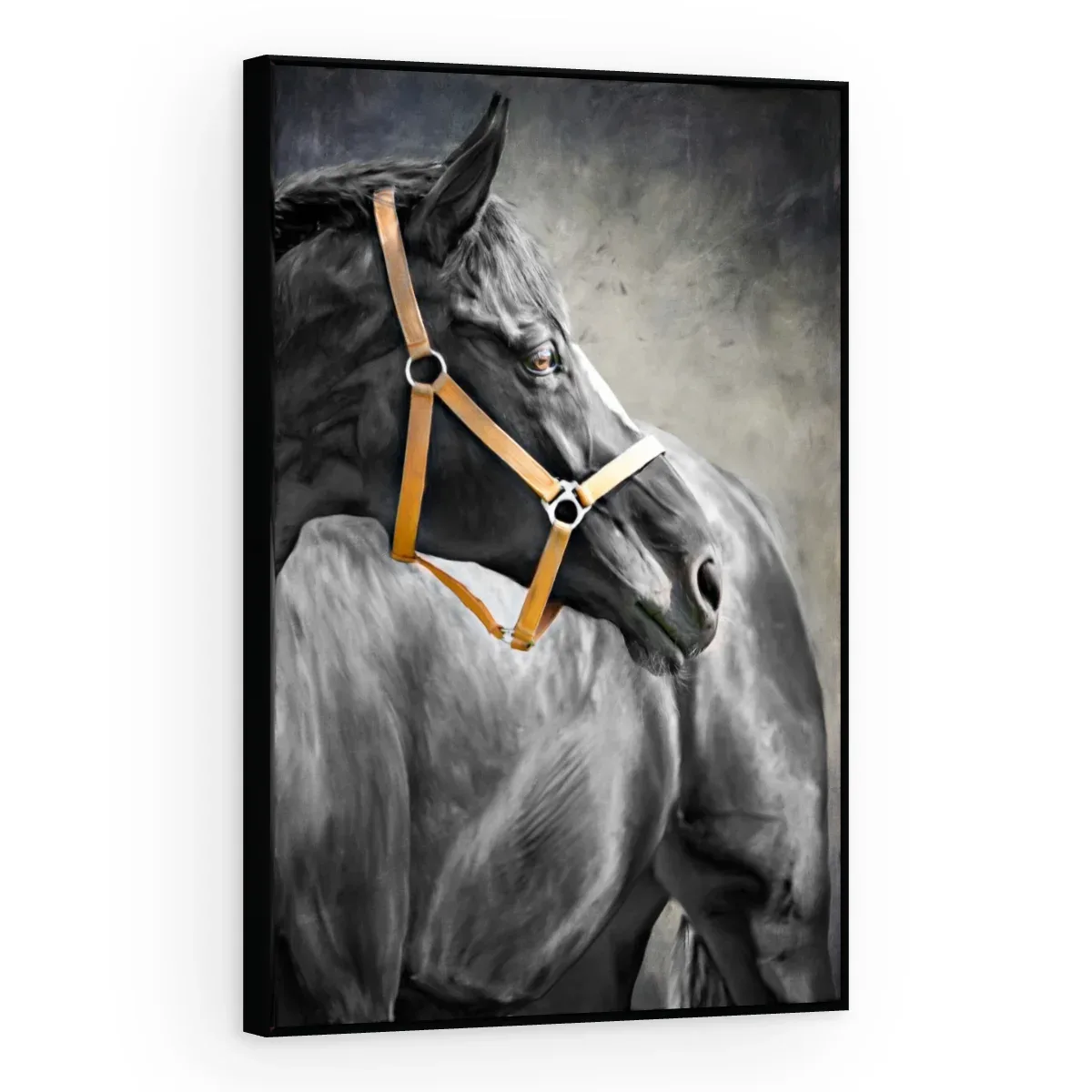 Quadro Decorativo Canvas Cavalo Cabresto - CA0019