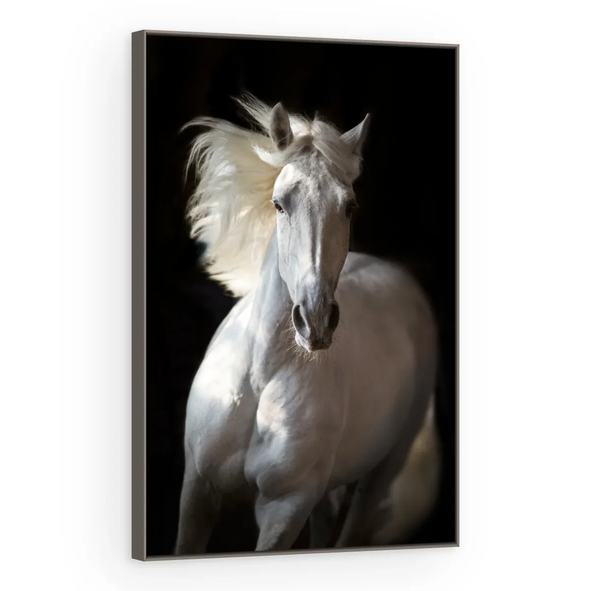 Quadro Decorativo Canvas Cavalo Majestoso - CA0022