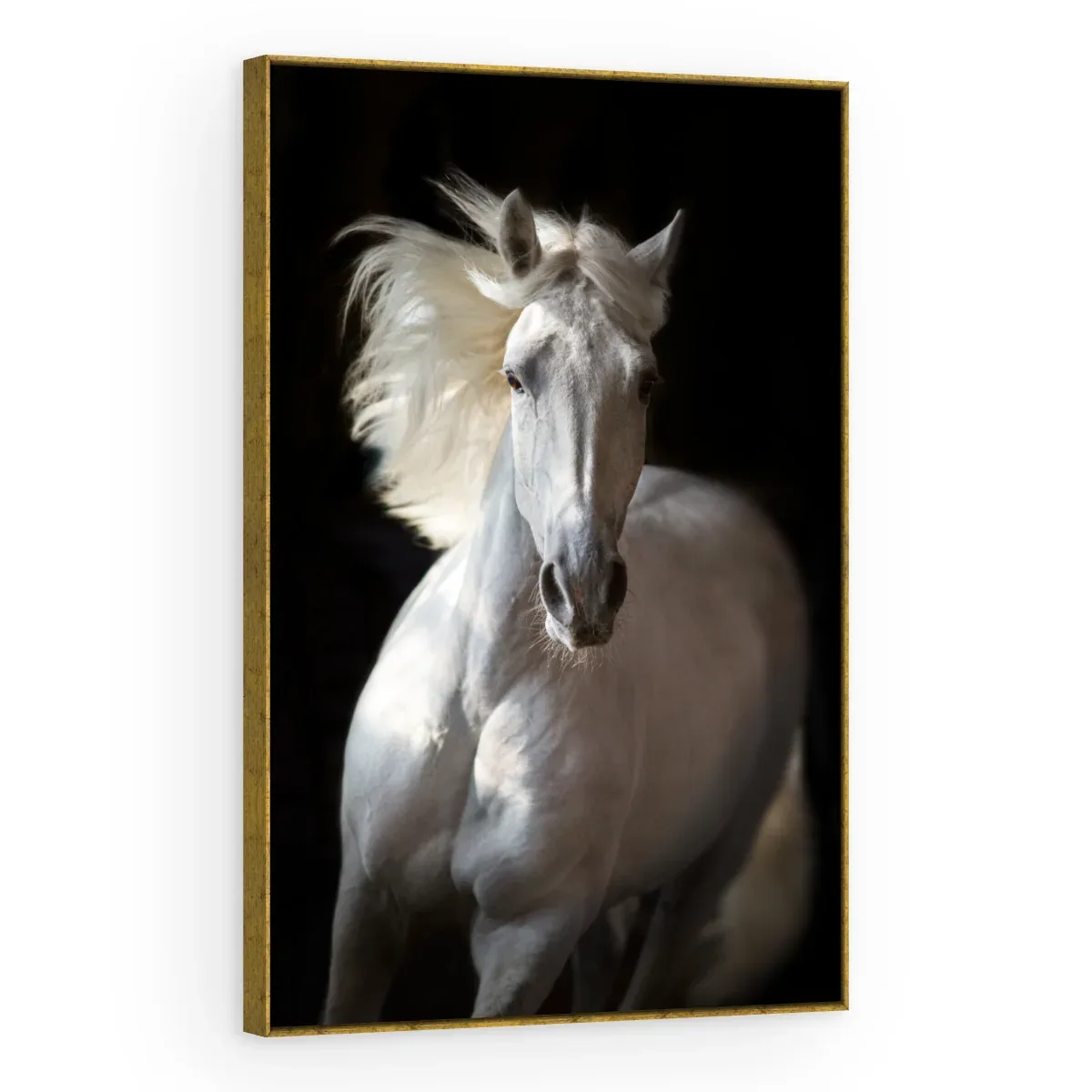 Quadro Decorativo Canvas Cavalo Majestoso - CA0022