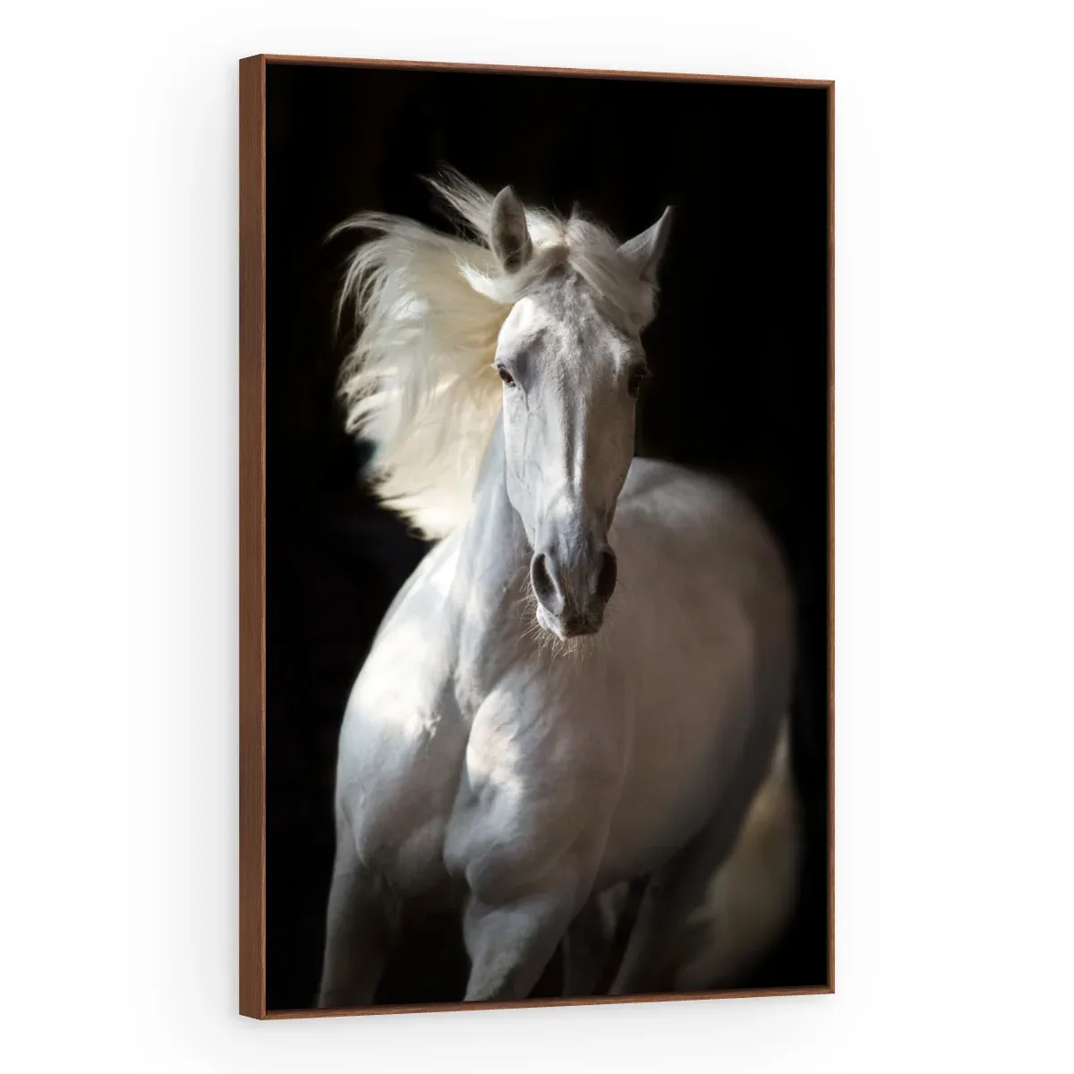 Quadro Decorativo Canvas Cavalo Majestoso - CA0022