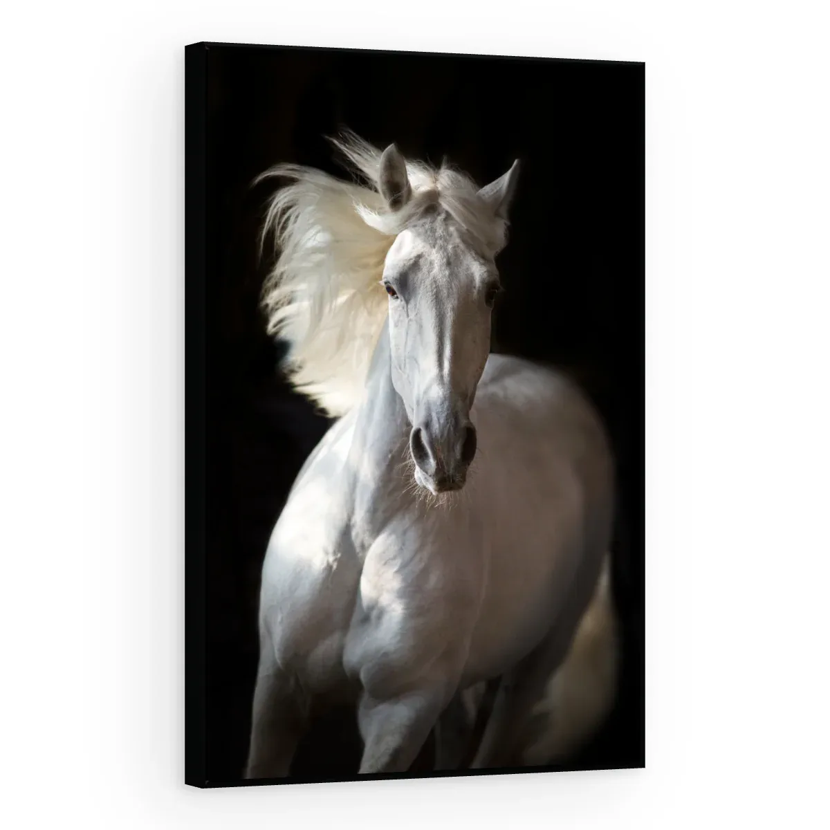 Quadro Decorativo Canvas Cavalo Majestoso - CA0022