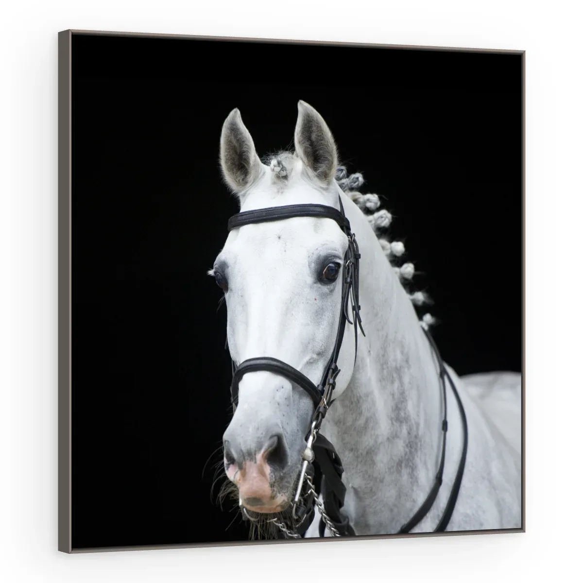 Quadro Decorativo Canvas Cavalo Trançado - CA0024