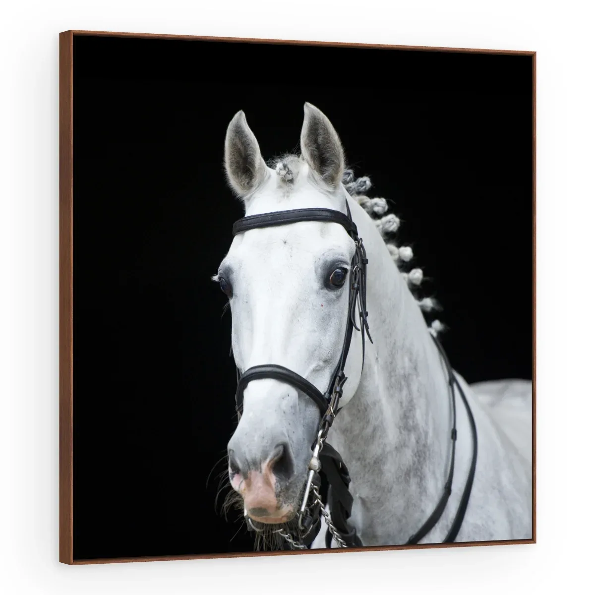 Quadro Decorativo Canvas Cavalo Trançado - CA0024