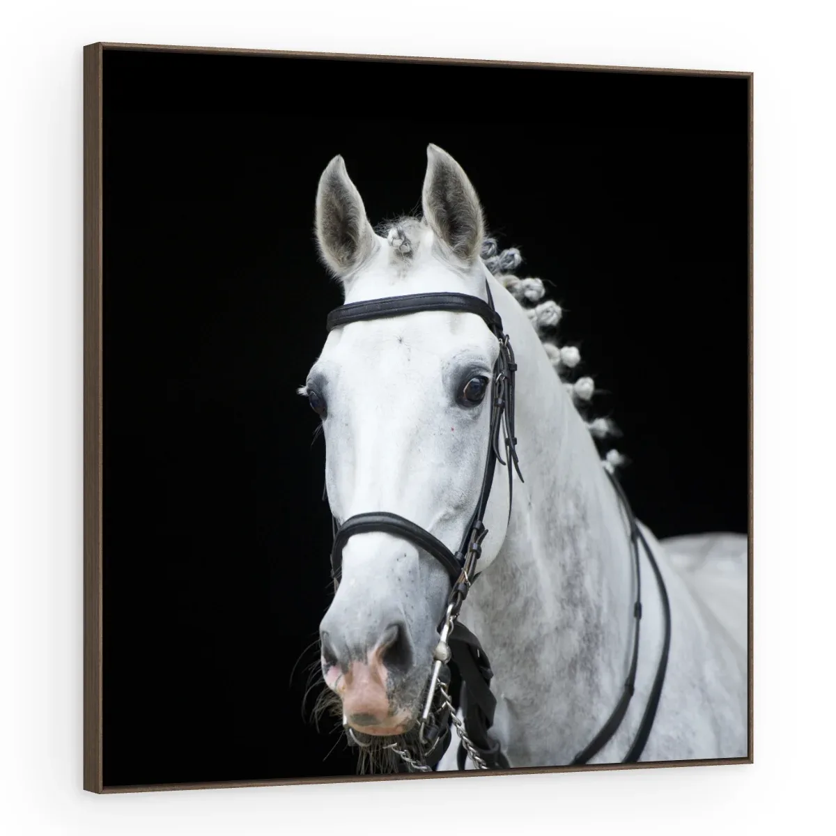 Quadro Decorativo Canvas Cavalo Trançado - CA0024