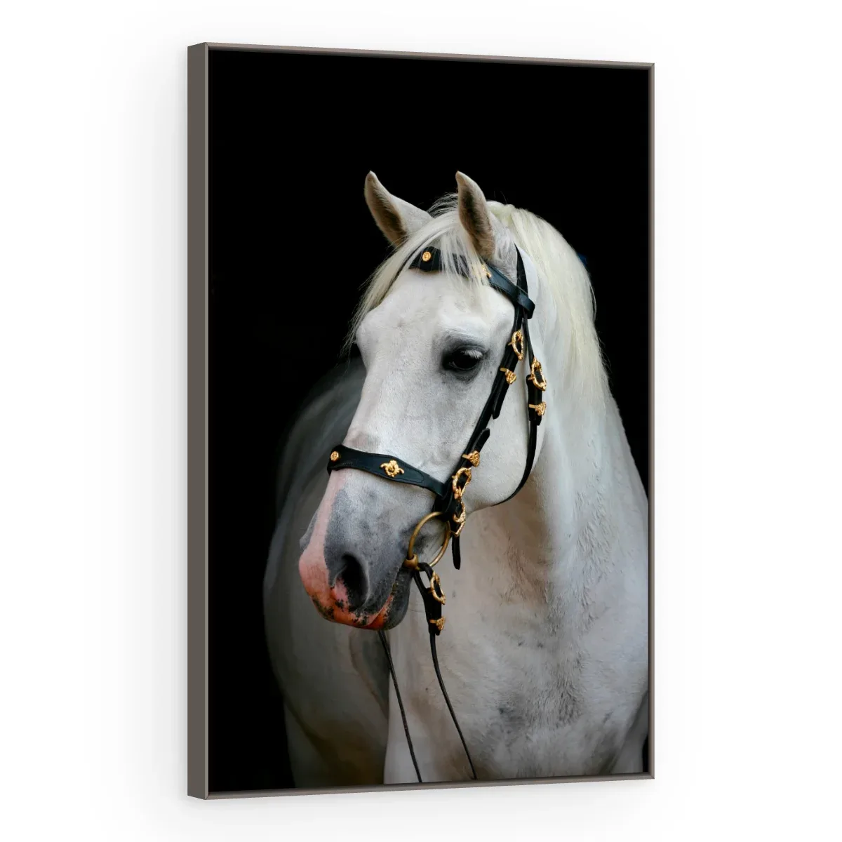 Quadro Decorativo Canvas Cavalo Nobre - CA0025