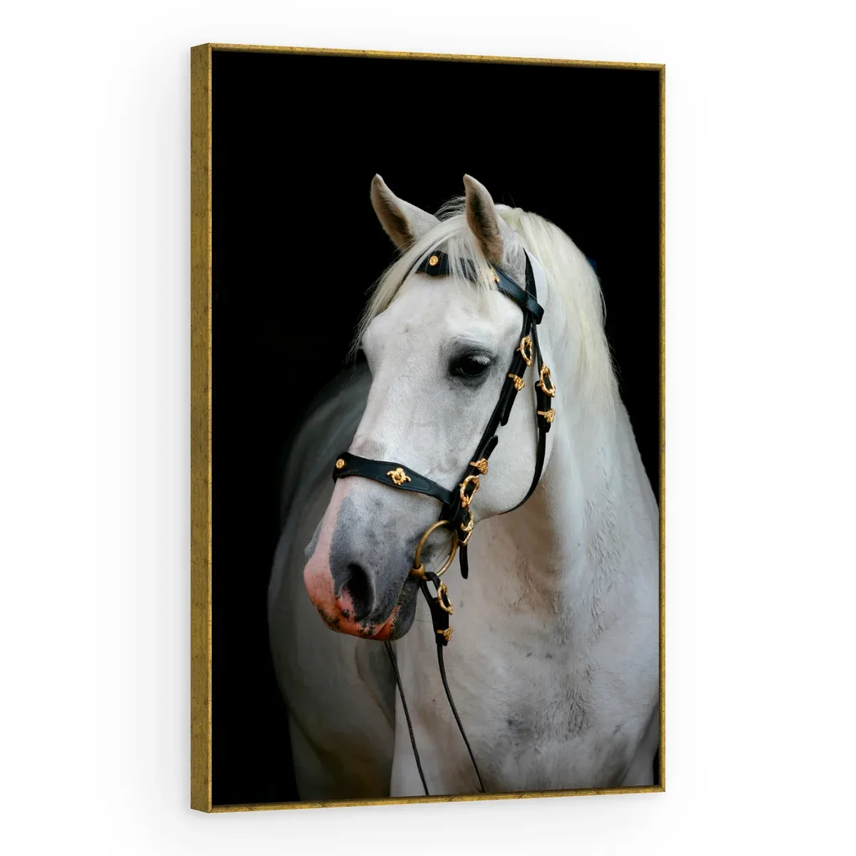 Quadro Decorativo Canvas Cavalo Nobre - CA0025