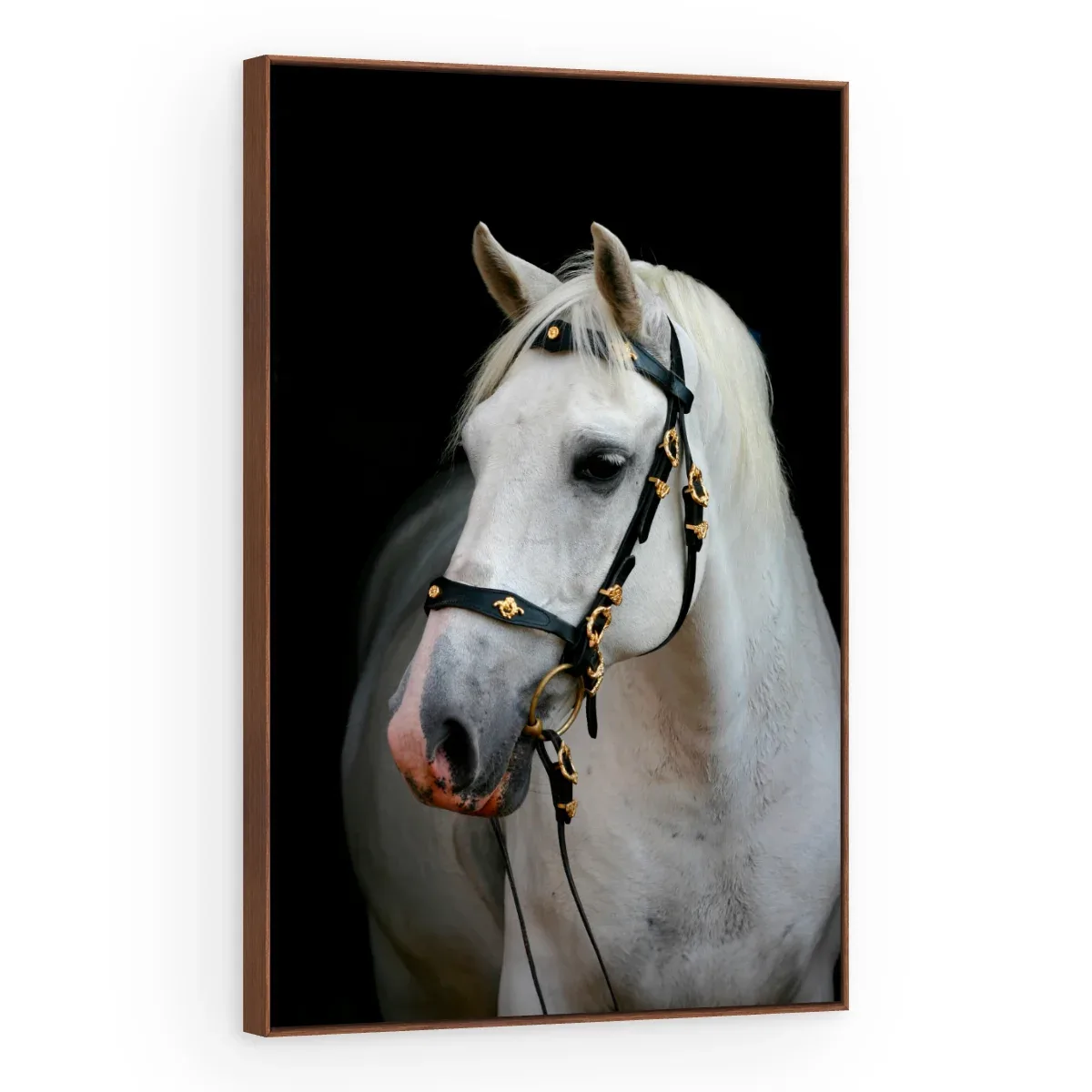 Quadro Decorativo Canvas Cavalo Nobre - CA0025