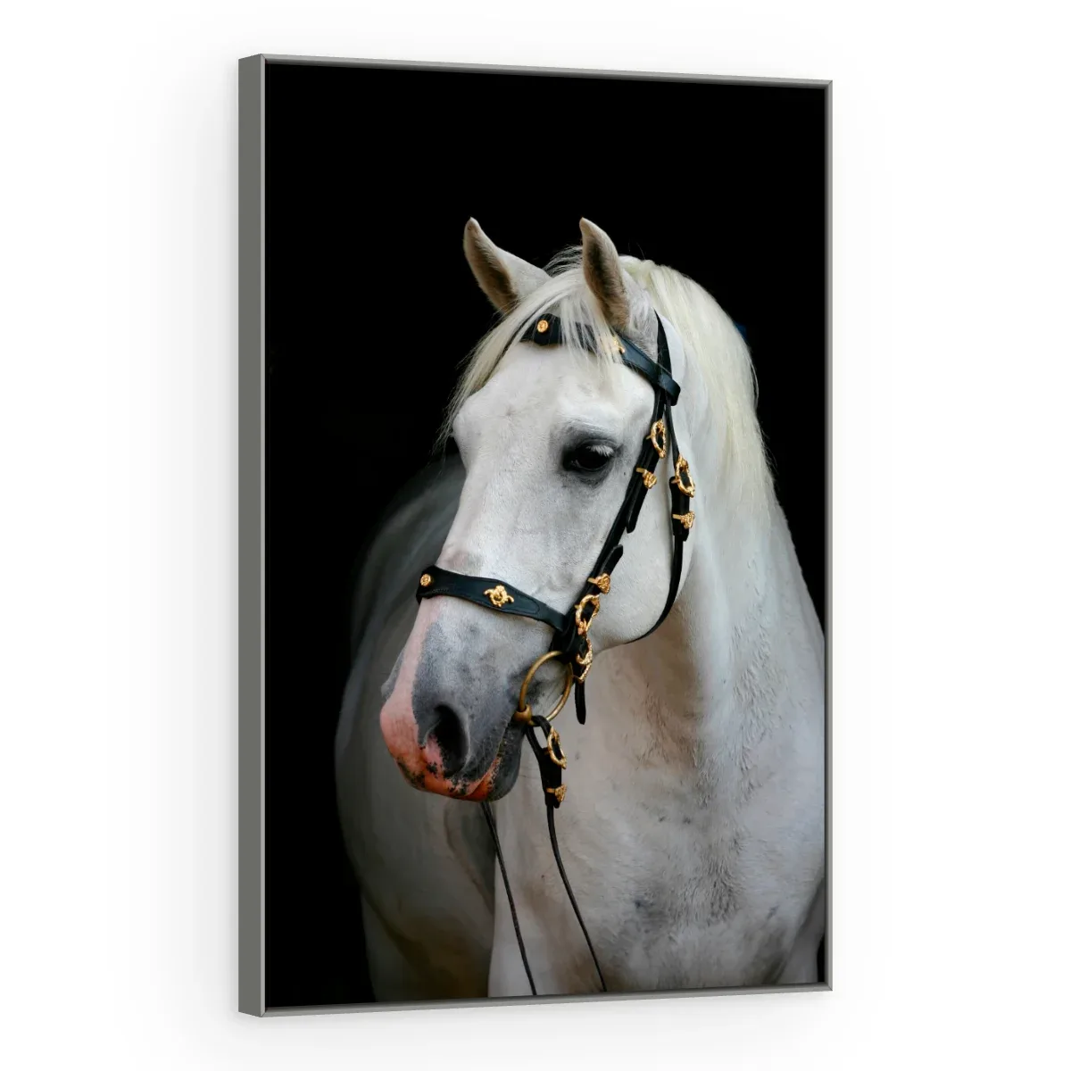 Quadro Decorativo Canvas Cavalo Nobre - CA0025