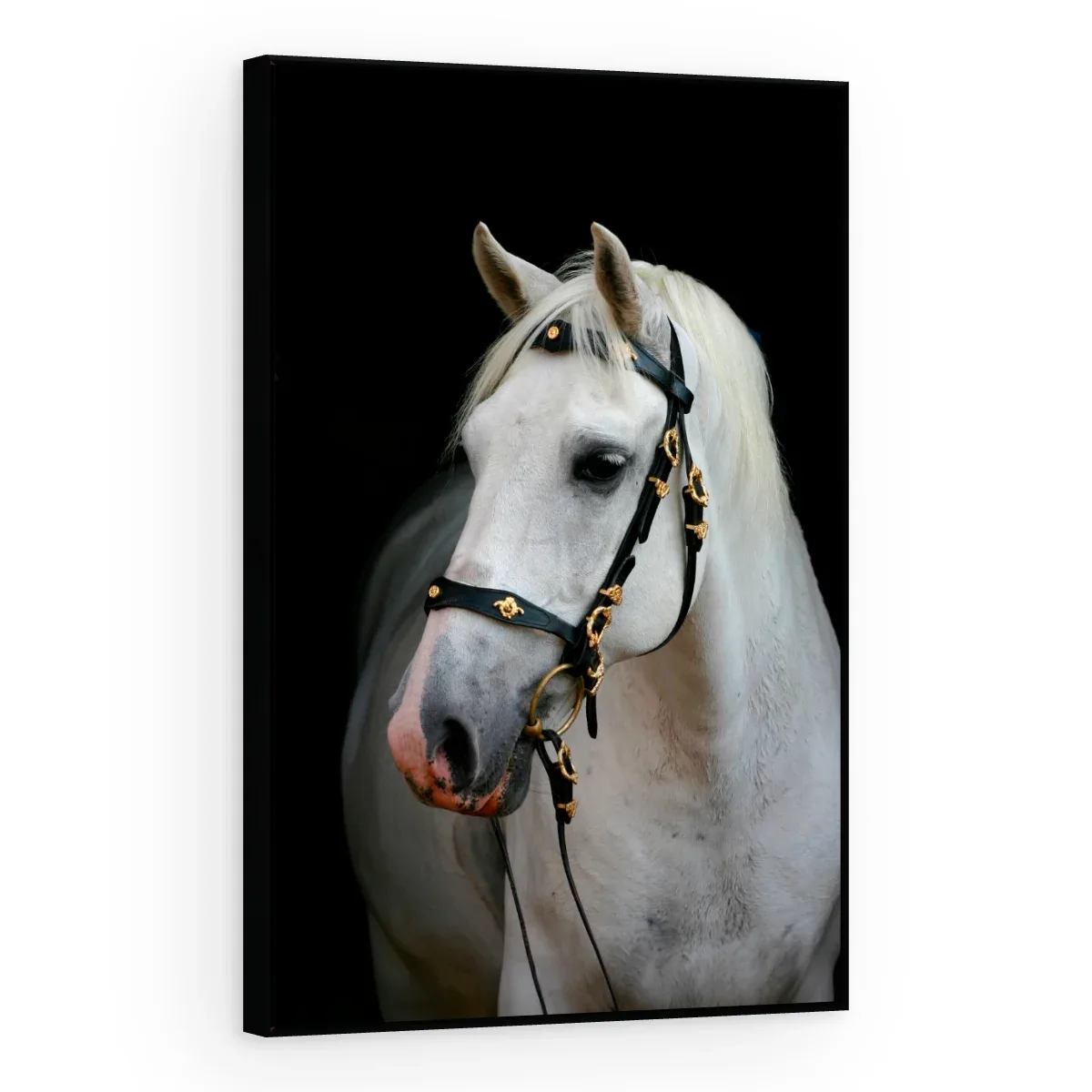 Quadro Decorativo Canvas Cavalo Nobre - CA0025