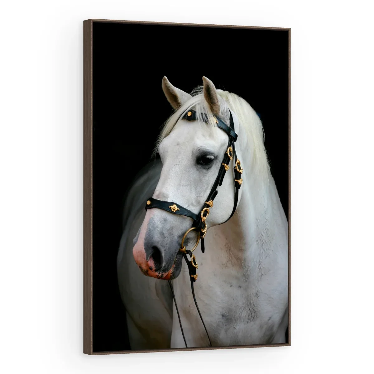 Quadro Decorativo Canvas Cavalo Nobre - CA0025
