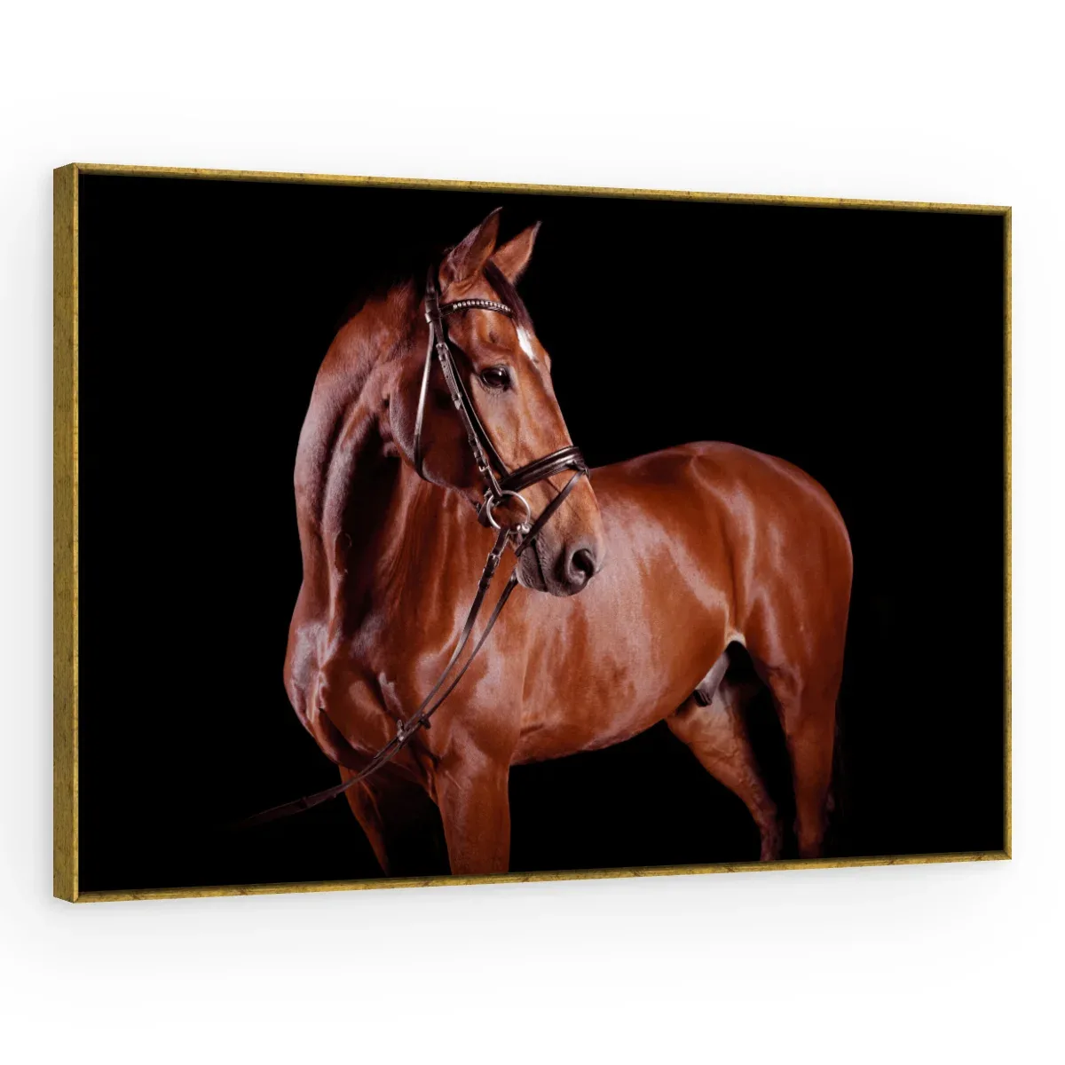 Quadro Decorativo Canvas Cavalo Alazão - CA0026