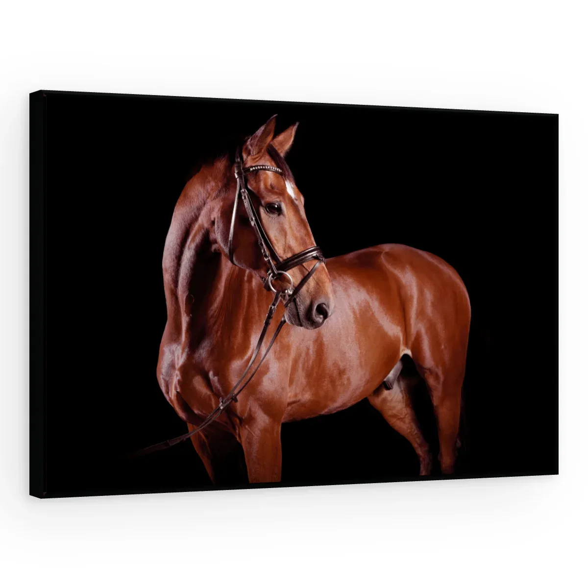 Quadro Decorativo Canvas Cavalo Alazão - CA0026