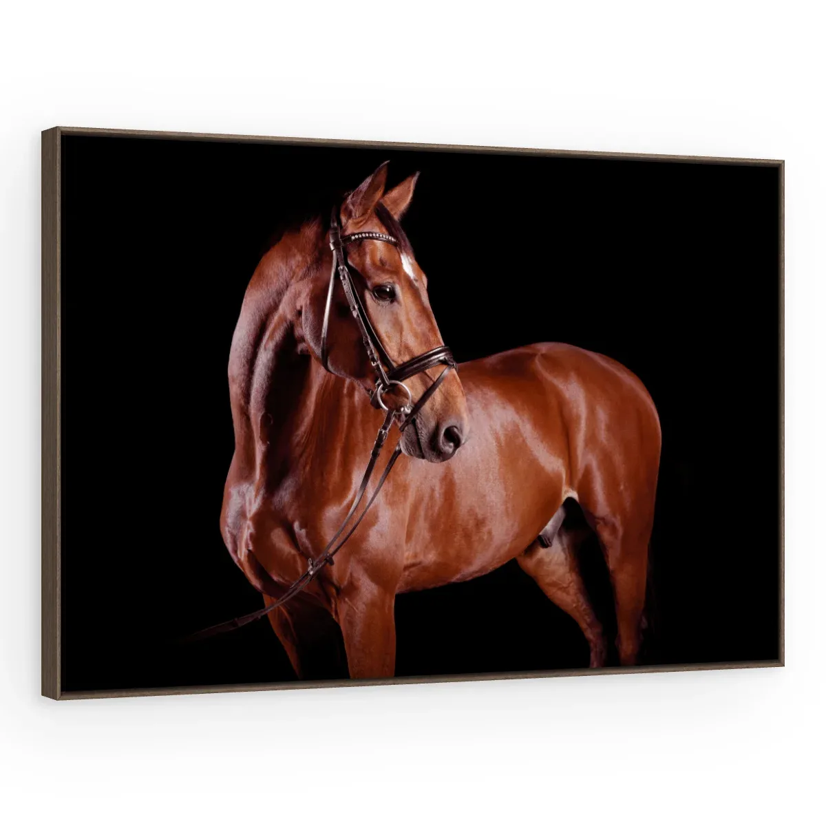 Quadro Decorativo Canvas Cavalo Alazão - CA0026