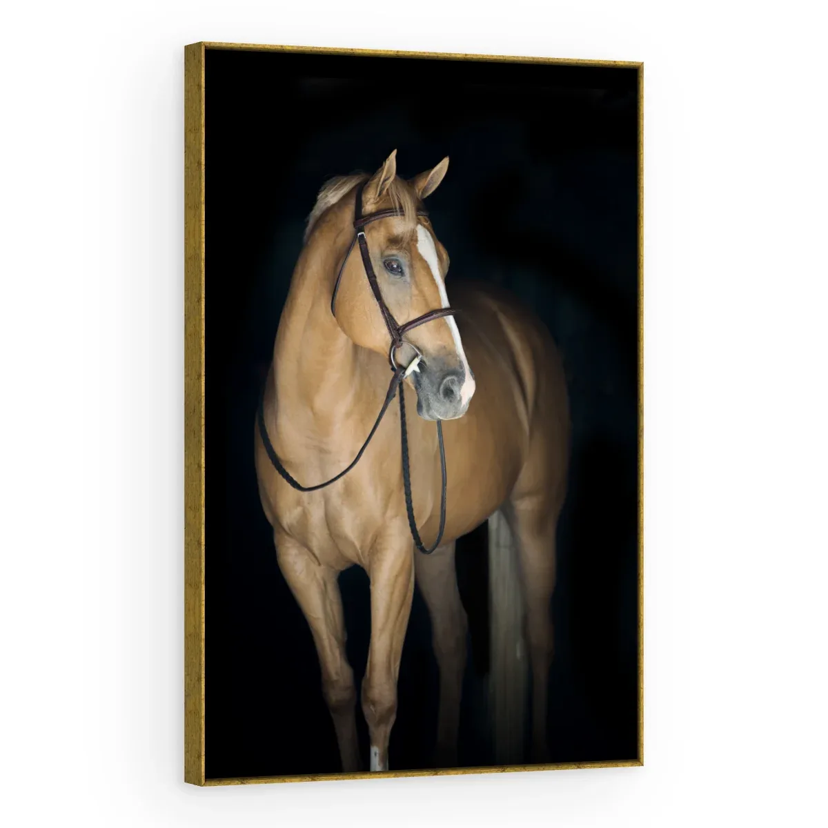 Quadro Decorativo Canvas Cavalo Baio - CA0028