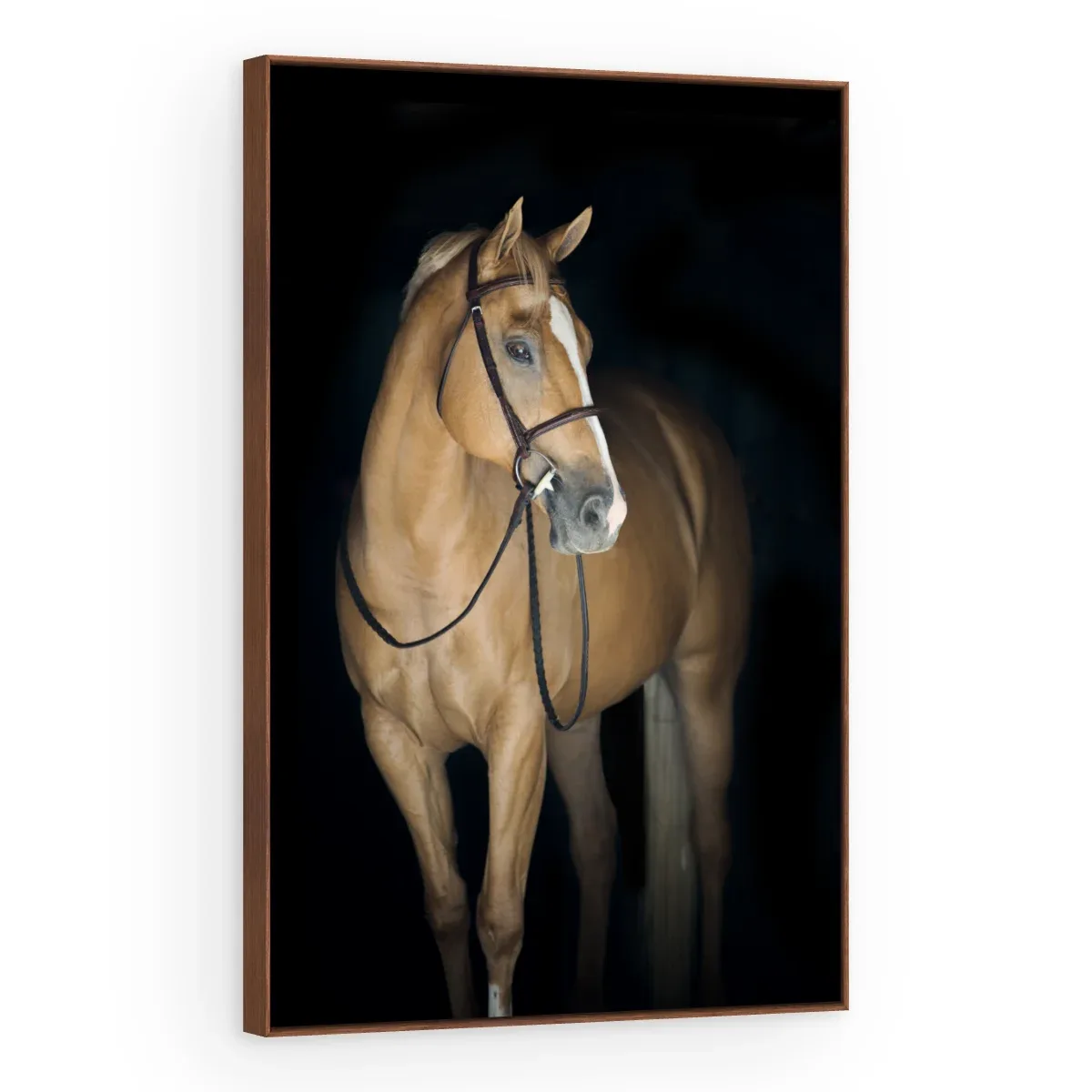 Quadro Decorativo Canvas Cavalo Baio - CA0028